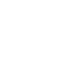 Debryne Graphics logo