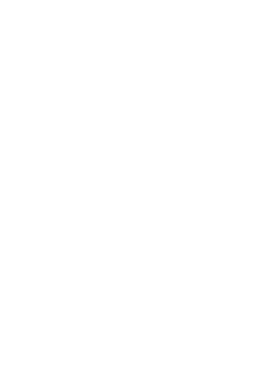 Island Surge logo